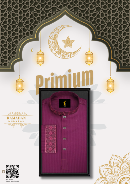 Embroidery Panjabi